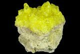 Bright-Yellow Sulfur Crystals on Matrix - Bolivia #84517-1